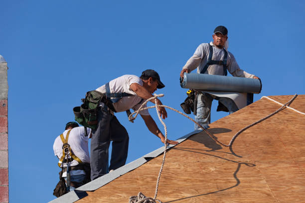 Best Roof Gutter Cleaning  in Bridgewater Center, NJ
