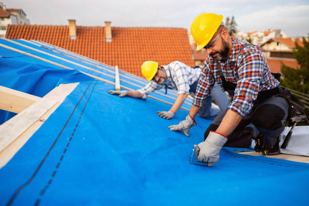 Roof Gutter Cleaning in Bridgewater Center, NJ